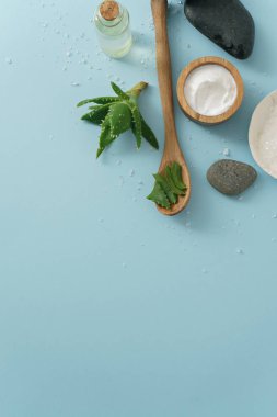 aloe vera ve kozmetik malzemeler 