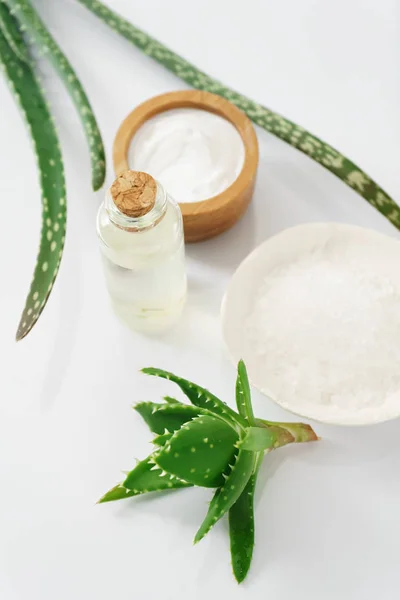 Aloe vera, crema, aceite y sal — Foto de Stock