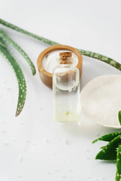 Aloe vera e inredientes cosméticos sobre fondo blanco — Foto de Stock