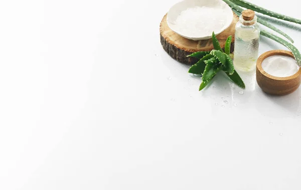 Aloe vera og kosmetiske inredienter på hvit bakgrunn – stockfoto