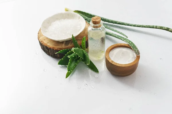 Aloe vera e inredientes cosméticos sobre fondo blanco — Foto de Stock