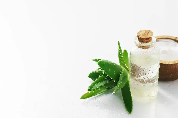 Aloe vera e ingredientes cosméticos — Foto de Stock