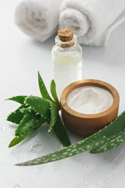 Aloe vera og kosmetiske bestanddeler – stockfoto
