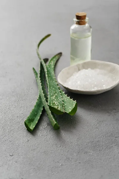 Aloe vera, olje og salt – stockfoto
