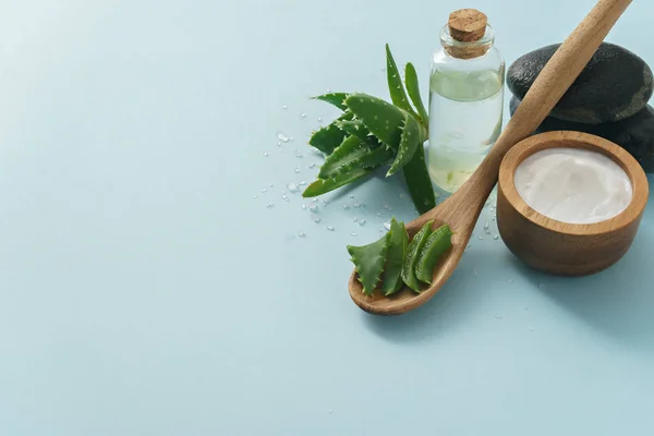Bilde av aloe vera med fløte og salt – stockfoto