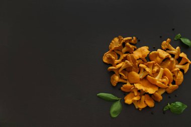 siyah masada chanterelles mantar 