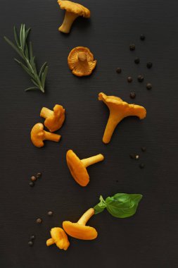 siyah masada chanterelles mantar 