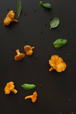 chanterelles mantar ve fesleğen yaprakları