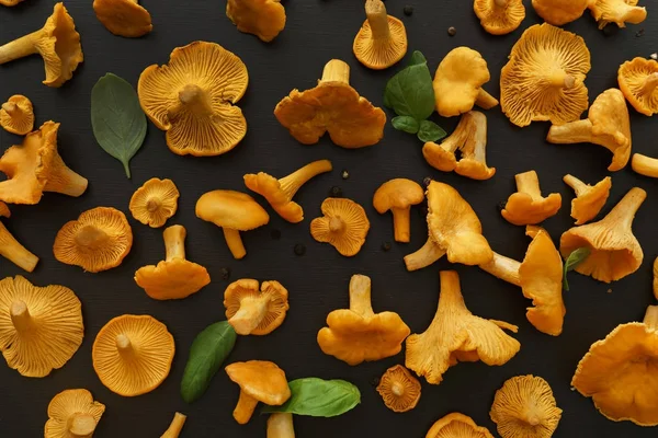 Chanterelles cogumelos, manjericão e pimenta — Fotografia de Stock