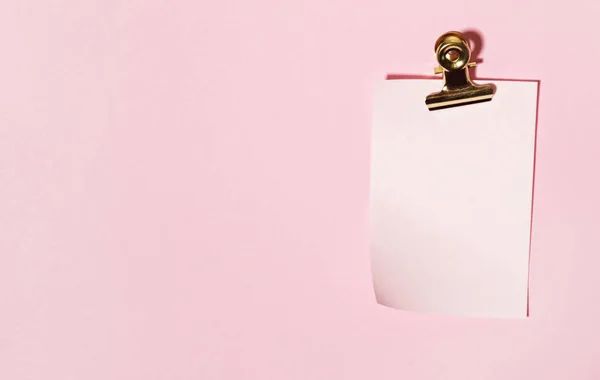 Stiker pink kosong — Stok Foto