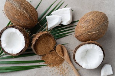 fresh coconuts with brown palm sugar on gray stone background 