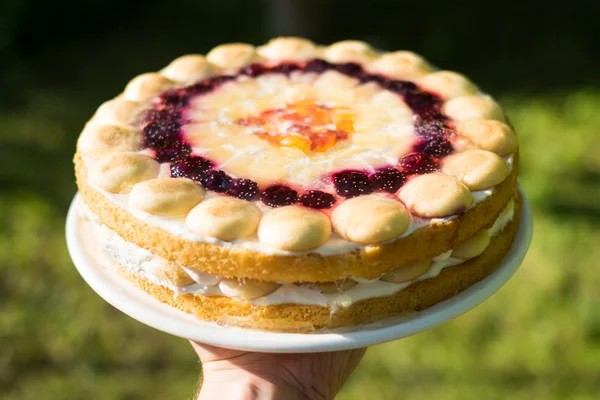 Суперлетний фруктовый пирог — стоковое фото