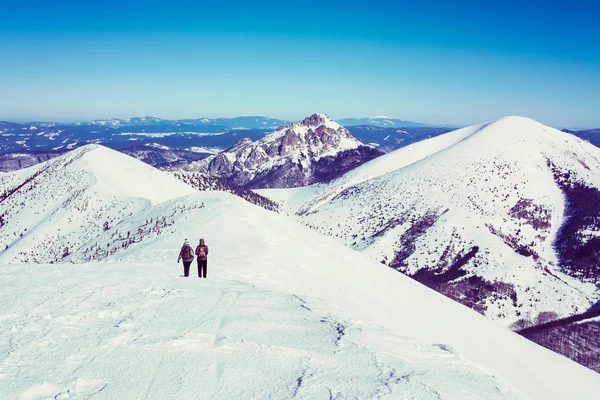 Dua wisatawan dalam perjalanan di pegunungan bersalju — Stok Foto