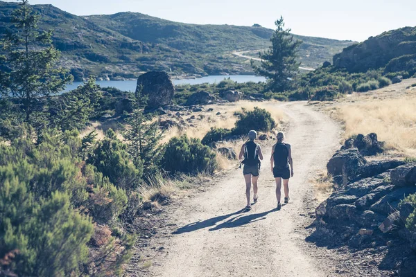 Güzel yaz doğa turist ile