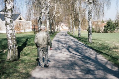 Yaşça daha büyük vatandaş, baston, doğa, ağaçlar bir sokakta yürüyen yaşlı adam yürüyen emekli adam yaşlı adamla yürüyüşe sağlık