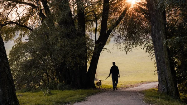 Young man with dog on walk
