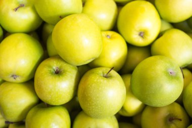 Yeşil elma çiftliği