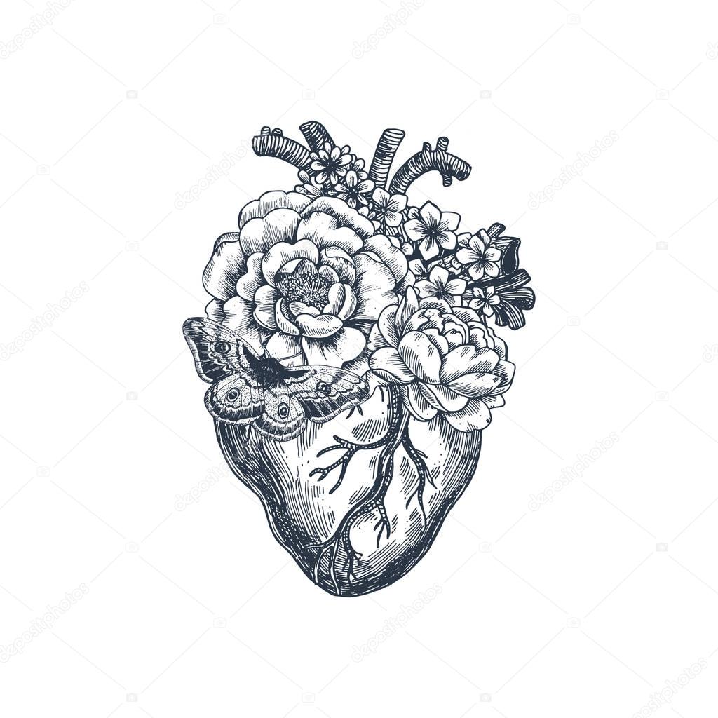 Tattoo Vintage Illustration Anatomie. Floral anatomischen Herz. Vektor