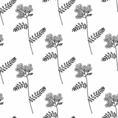 Kır çiçeği sorunsuz doku