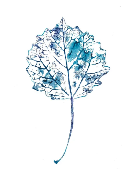 Watercolor leaf illustration. — Stock Photo, Image