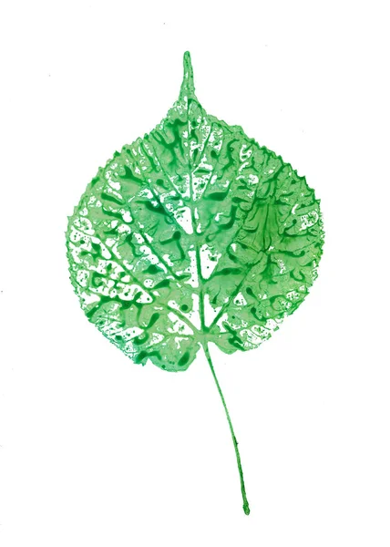 Watercolor leaf illustration. — Stock Photo, Image