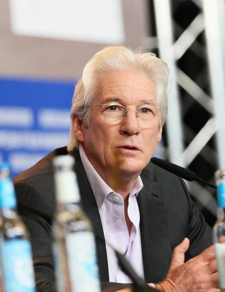 Richard Gere attends the 'The Dinner'