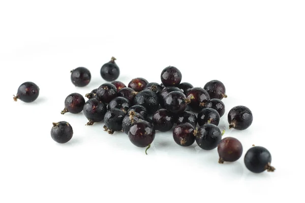 Isolierte Beeren fünf fallende schwarze Johannisbeeren isoliert auf weißem Hintergrund mit Clipping-Pfad — Stockfoto