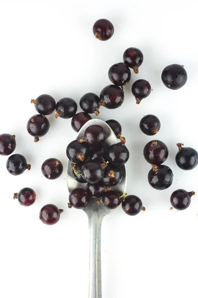 Isolierte Beeren fünf fallende schwarze Johannisbeeren isoliert auf weißem Hintergrund mit Clipping-Pfad — Stockfoto