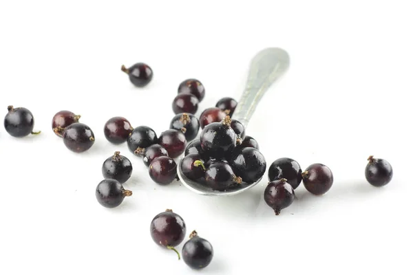 Isolierte Beeren fünf fallende schwarze Johannisbeeren isoliert auf weißem Hintergrund mit Clipping-Pfad — Stockfoto