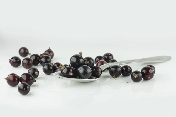 Isolated berries five falling black currant fruits isolated on white background with clipping path — Stock Photo, Image