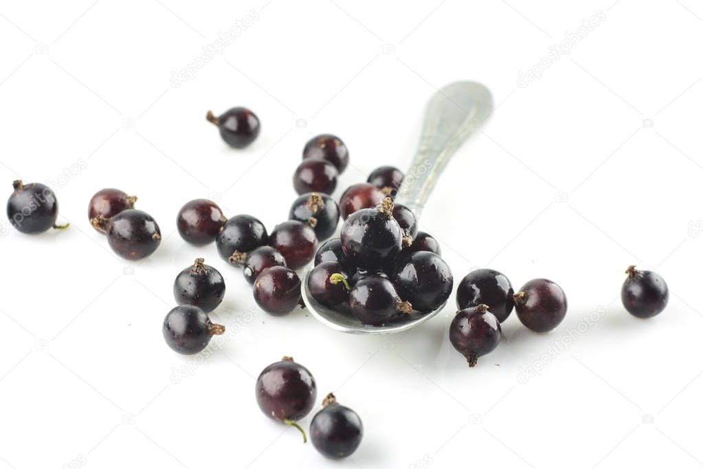 Isolated berries five falling black currant fruits isolated on white background with clipping path 