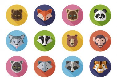 Vahşi vektör simgeler kümesi ve homes hayvanlar. Leopar, fox, panda, porsuk, ayı, Kutup tilkisi, maymun, rakun, kaplan, kedi, köpek.