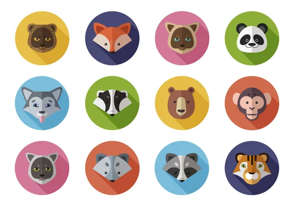 Vahşi vektör simgeler kümesi ve homes hayvanlar. Leopar, fox, panda, porsuk, ayı, Kutup tilkisi, maymun, rakun, kaplan, kedi, köpek.