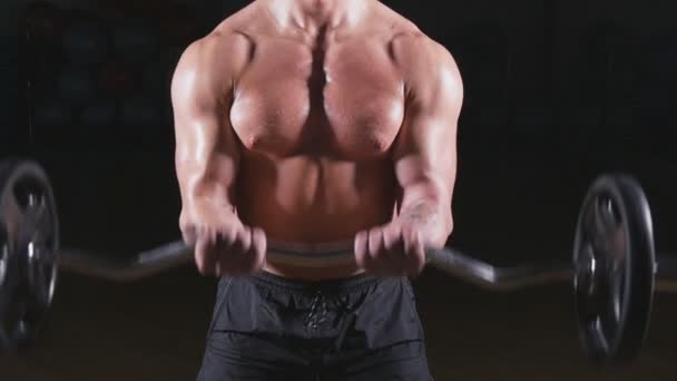 Culturista realizando barbell bíceps rizos — Vídeos de Stock