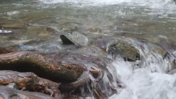 Cascata sul fiume di montagna — Video Stock