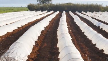 Ülke bahçesinde bahar beyaz sera