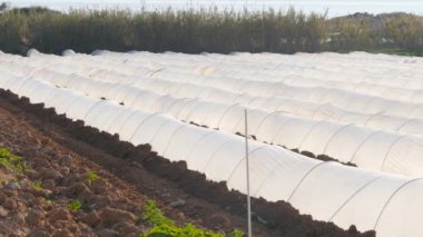 Olarak plastik serada sebze batımında büyüyen ile bir servis birimi polietilenler tünel.