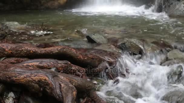 Cascata d'autunno sul fiume di montagna — Video Stock