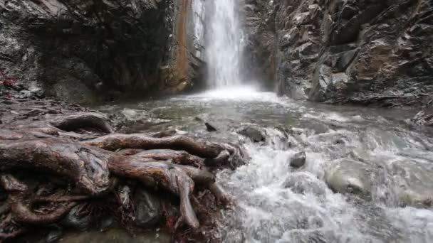 Sonbahar şelale dağ Nehri üzerinde — Stok video