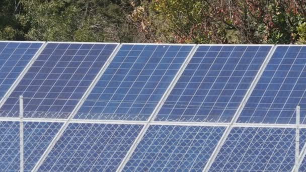Zonne-boerderij panelen groene energieconcept — Stockvideo