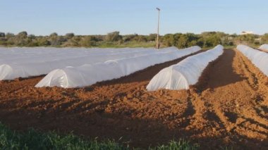 Olarak plastik serada sebze batımında büyüyen ile bir servis birimi polietilenler tünel.