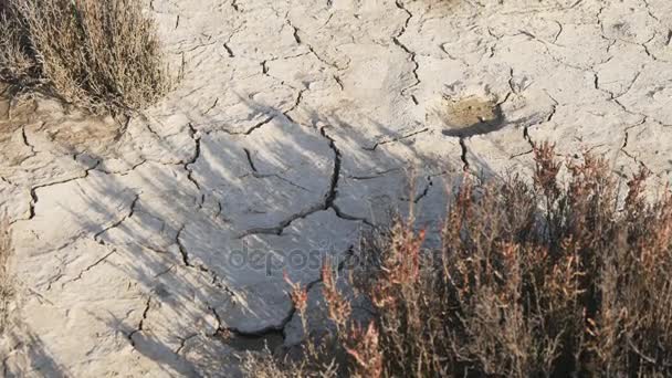 Gedehydrateerde droge grond in de woestijn — Stockvideo