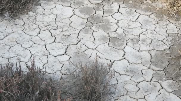 Suelo seco deshidratado en el desierto — Vídeo de stock