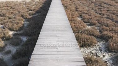 Eski gri ahşap köprü ya da geçit ve tropikal plaj