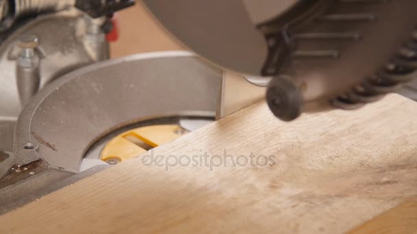木材在锯木厂电动圆锯片切割片 — 图库视频影像