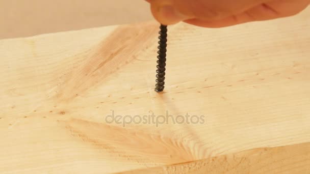 Atornillar el tornillo en una tabla de madera — Vídeos de Stock