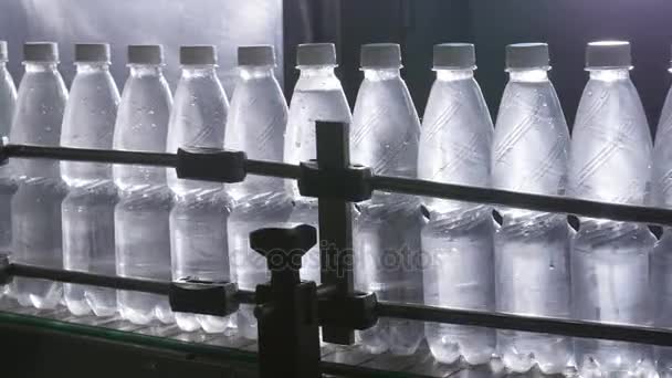 Su işleme ve saf kaynak suyu şişeleme için satır şişeleme — Stok video