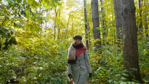 Kobieta spacerująca w jesiennym parku — Wideo stockowe