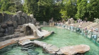 Çek Cumhuriyeti, Prag 16, Haziran 2017. Kürk fokları Prag hayvanat bahçesindeki bir kafesi