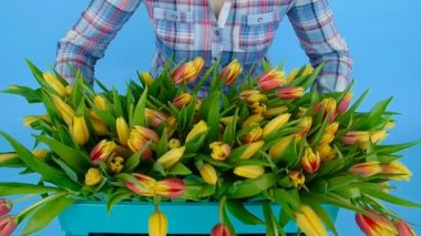 Bir kutu ile Lale mavi bir arka plan üzerinde tutan genç kadın